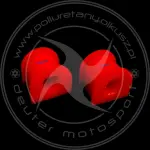 Komplet tulei mocowania drążka stabilizatora przedniego - HONDA CIVIC / CRX / ACCORD / ACURA - 2szt.